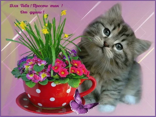 букет для тебя 01.webp