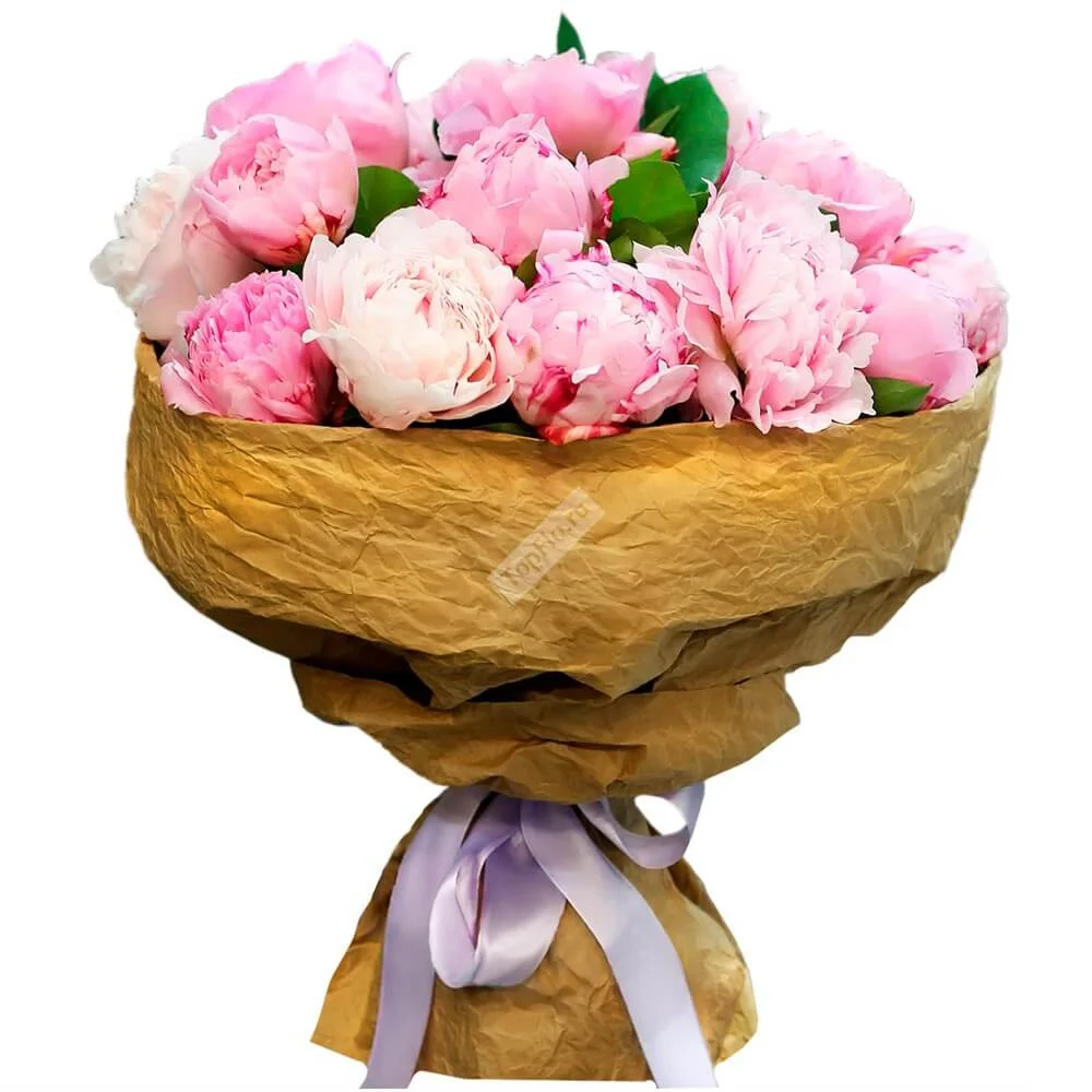 buket-iz-25-rozovyh-pionov-v-upakovke.webp
