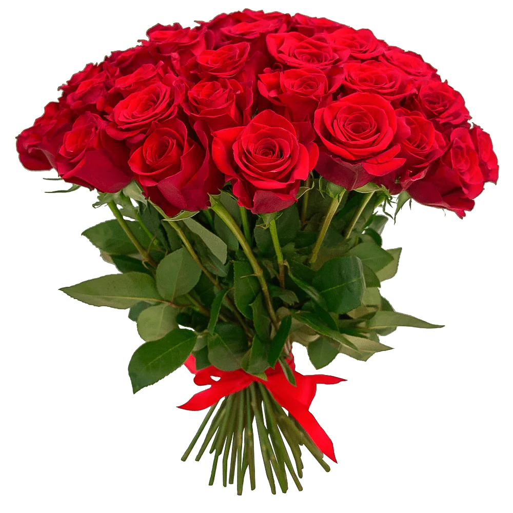 buket-iz-33-krasnyh-roz.webp