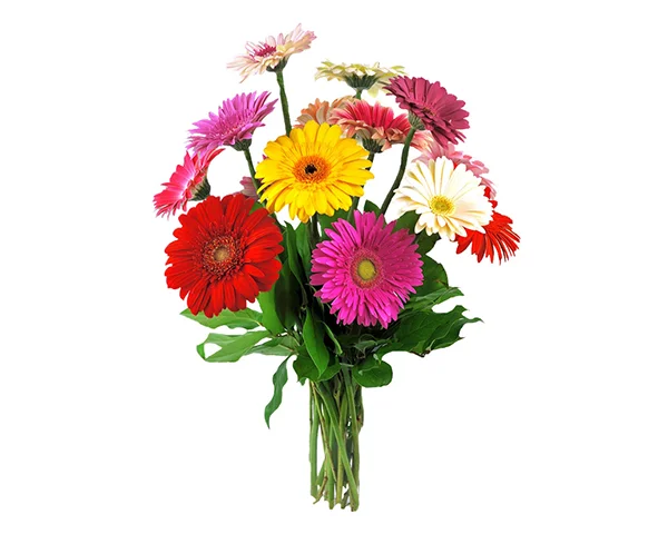 buket-iz-gerber-№1.webp