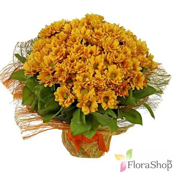 buket-iz-hrizantem-ryjik.webp