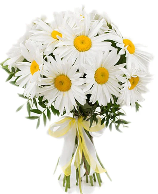 букет ромашек_enl.webp