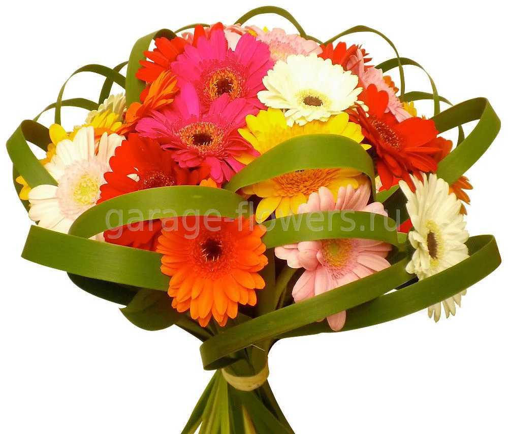 buket_gerbera_miks.webp