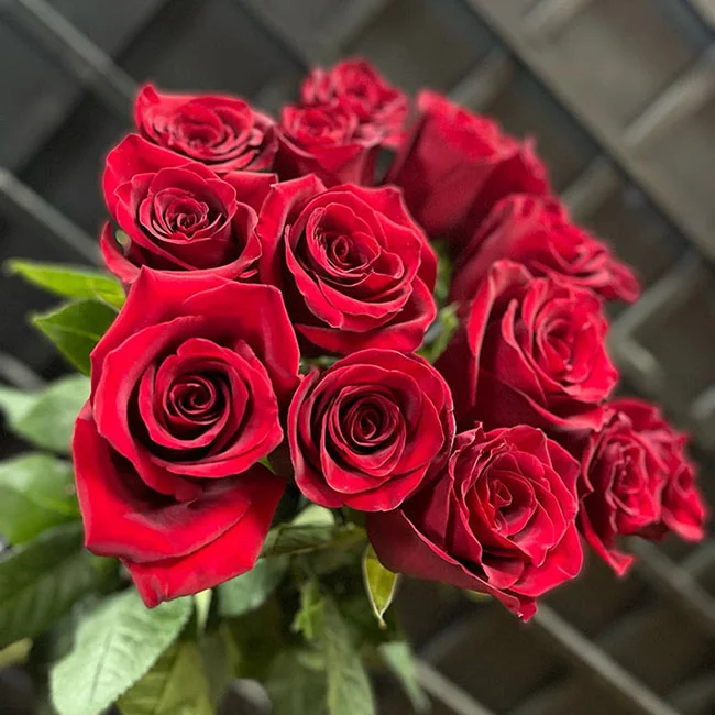 buket_iz_15_krasnikh_roz_freedom-1.webp