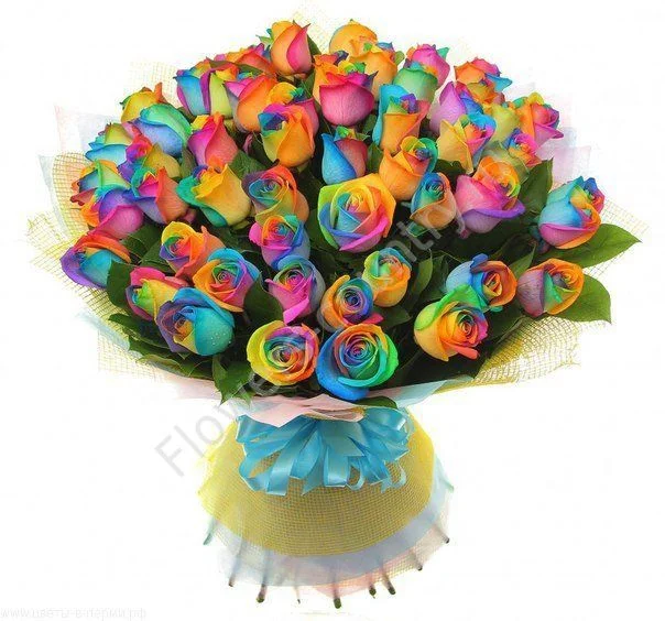 Buket_iz_raduzhnyh_roz_51_sht_2.webp