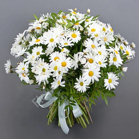 Букет_из_ромашек.webp