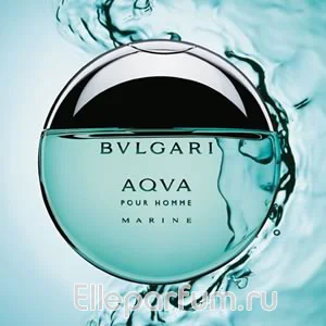 bulgari-aqua-cool.webp
