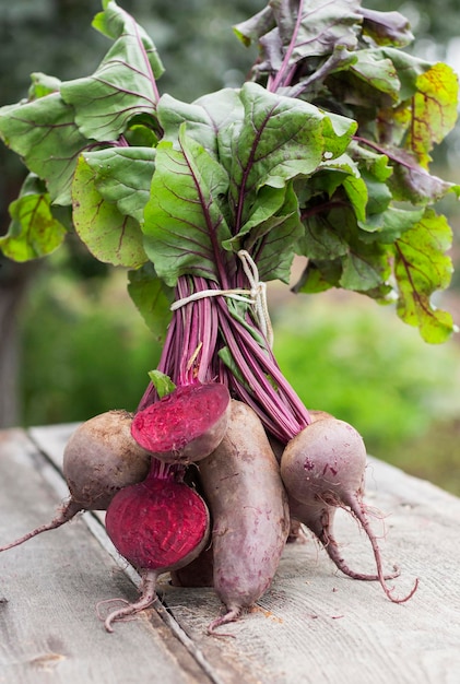 bunch-red-table-beets-table-vertical-photo-background-garden_163155-1254.jpg