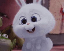 bunny.gif