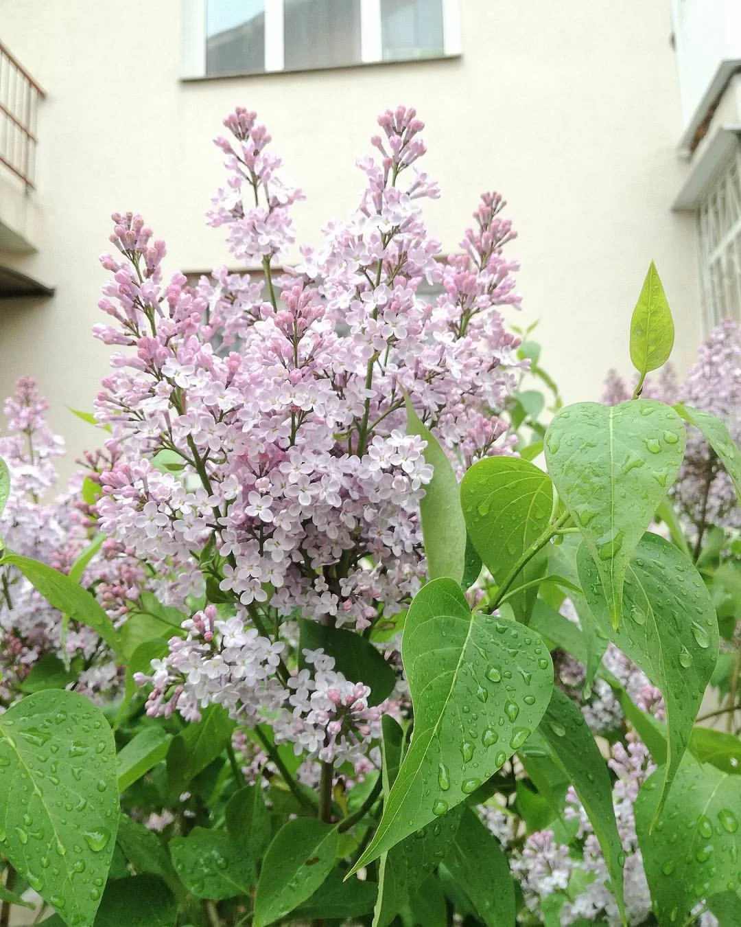 bWZMk82F_Fs.webp