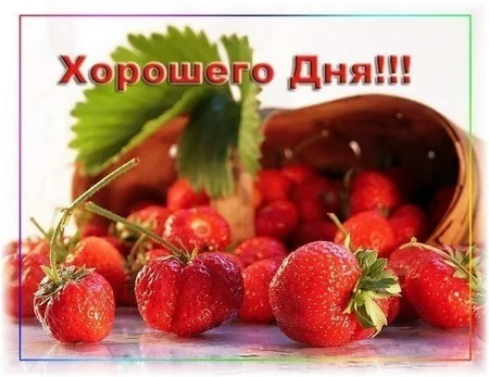 bygagacomu_4495507_7100664.webp