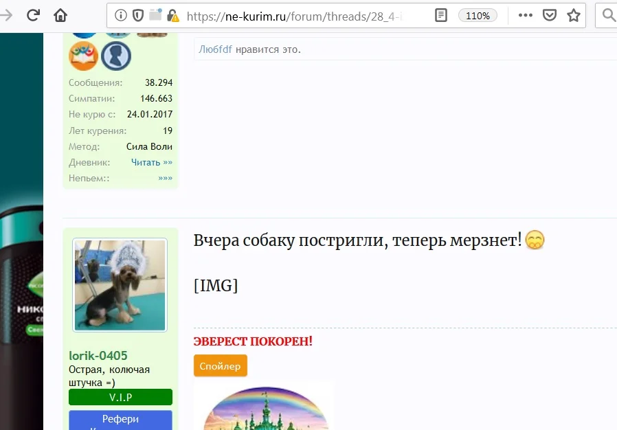 бым.webp