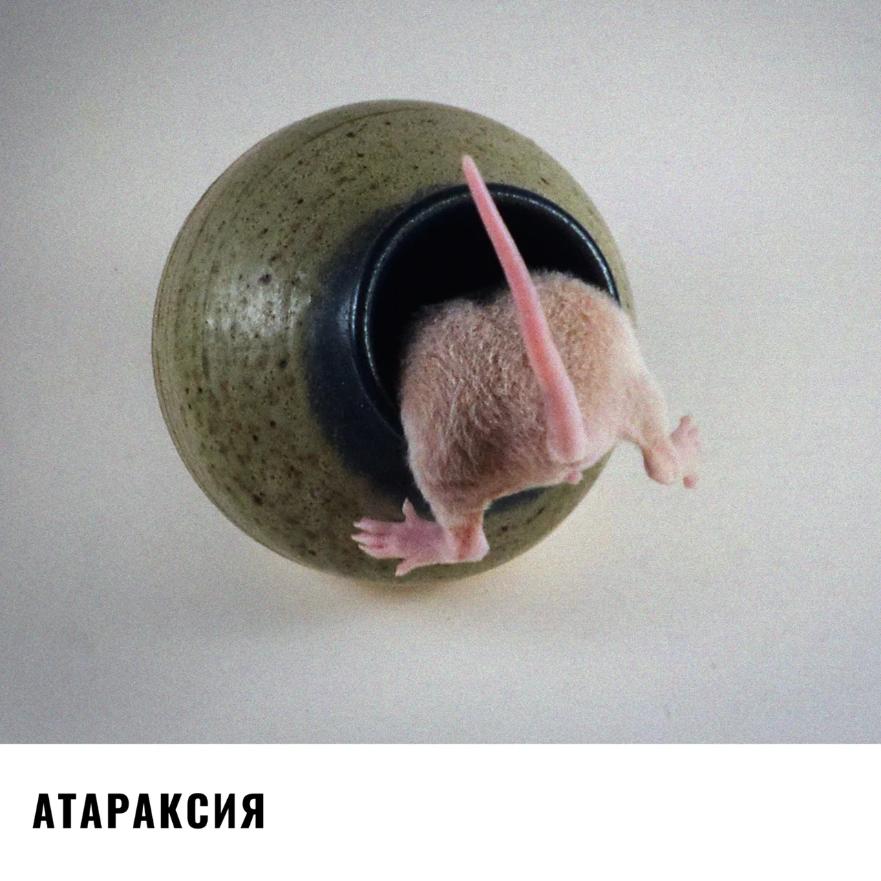 BZrqZgvynvbzXQP6eAnQ-Pftxkf_Sw_gcohLa1egNKNNoqolks1bWY5IyRJV24nYThJDa7jKoy2Hx2r0IZ2h4Q2D (1).webp