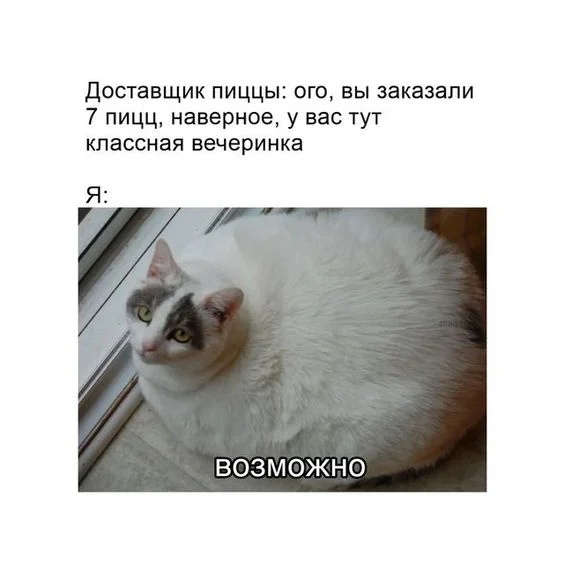 c0b67888caaccb139cae0e4d29d1f96f (1).webp