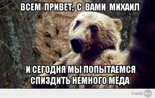 c0e4df92a5a46a71cd70f9fe80e8eba3.webp