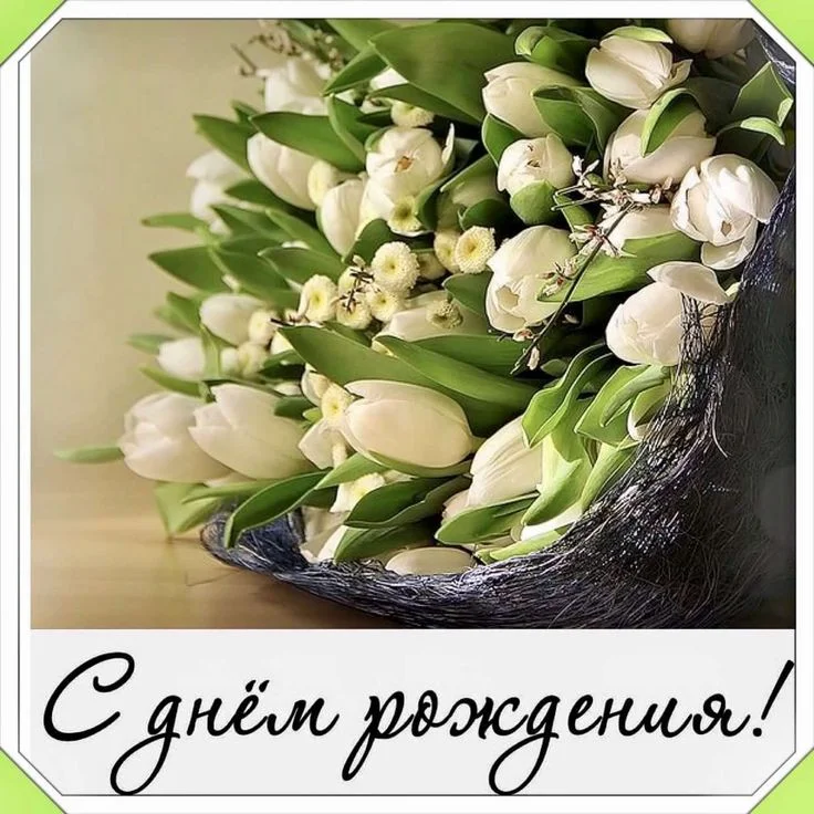 c2df0c1173a0cfb7805c28681e45aae2.webp