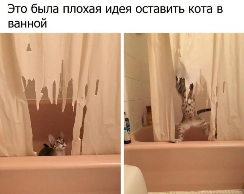 c2edc48e6bb6 (1).webp