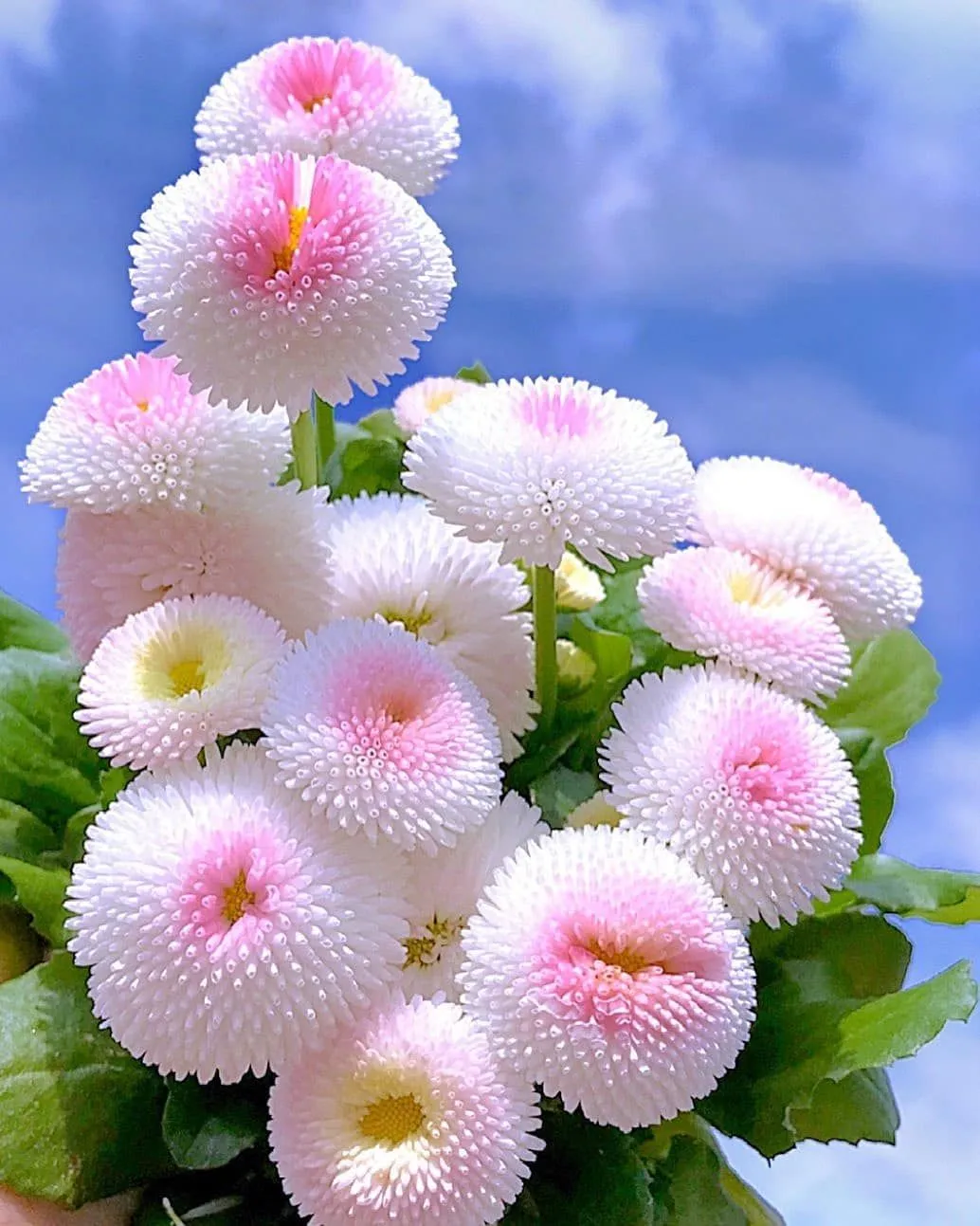 c40f700ec9944655bec36ddc34157b78.webp