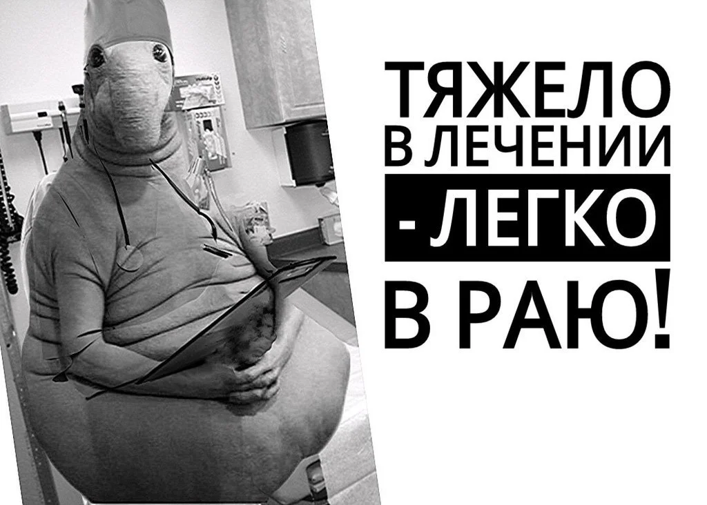 c437wV_nsos.webp