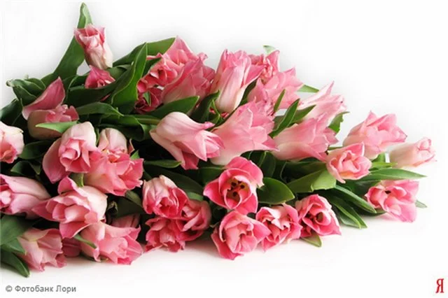 c478526cb2d2.webp