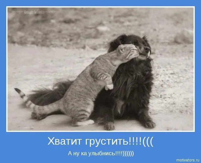 c554b94156.webp