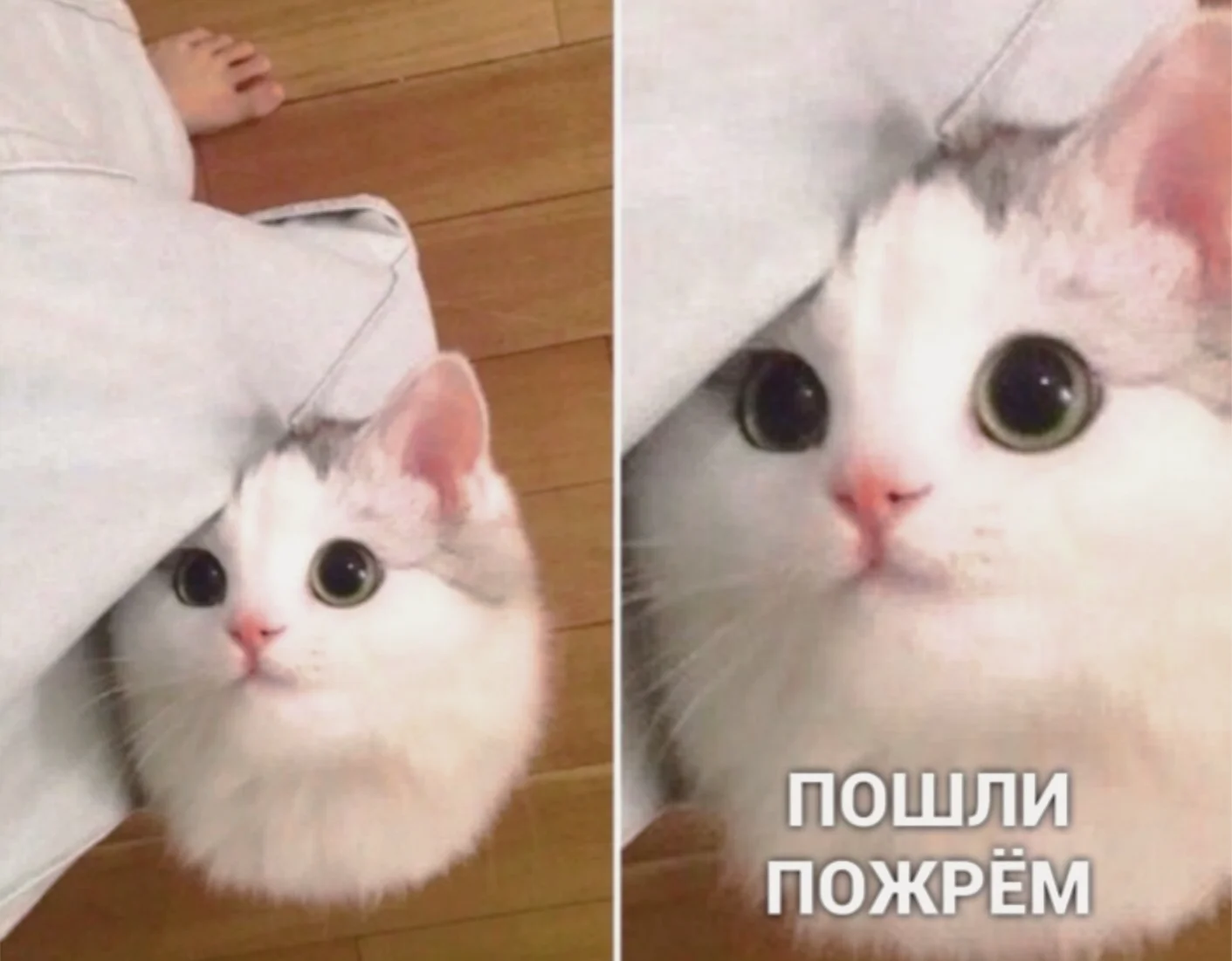 C5tGeqGKn0k.webp
