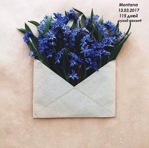 c6e91a1112d4c6ff20475f22ef6912a0 - копия.webp