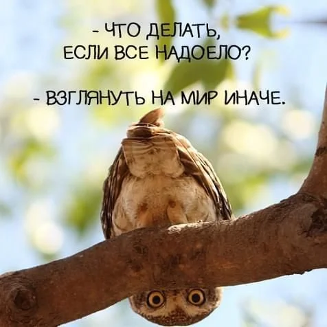c80696f971034155f55278b447621e49[1].webp