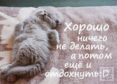 c91c51c4f62815745f9067c3ed91be1f.webp