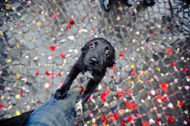 C__Data_Users_DefApps_AppData_INTERNETEXPLORER_Temp_Saved Images_--4iTwz-a5g.webp