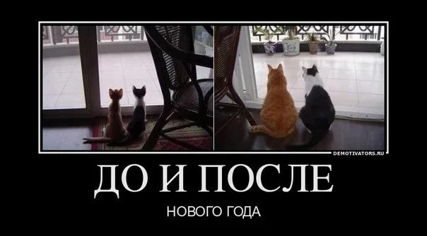 C__Data_Users_DefApps_AppData_INTERNETEXPLORER_Temp_Saved Images_--dn6QD663A.webp