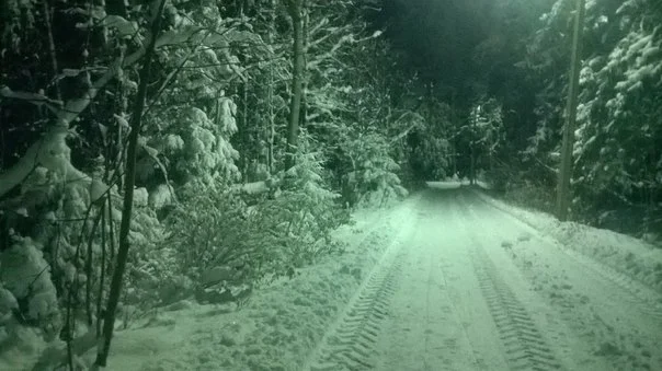 C__Data_Users_DefApps_AppData_INTERNETEXPLORER_Temp_Saved Images_0fVfRsO1IgA.webp