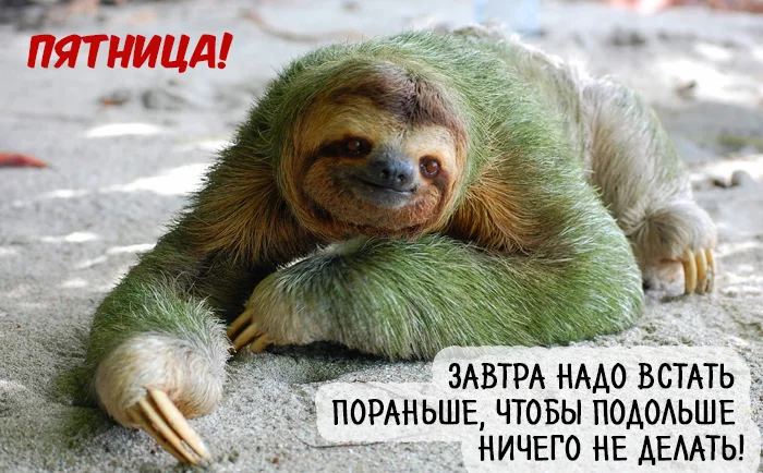 C__Data_Users_DefApps_AppData_INTERNETEXPLORER_Temp_Saved Images_1472135005_09.webp