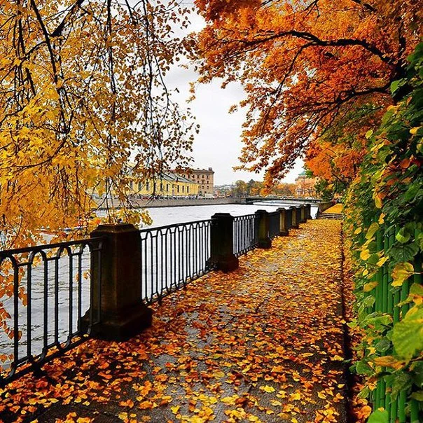 C__Data_Users_DefApps_AppData_INTERNETEXPLORER_Temp_Saved Images_6Hb1Ti3v7-Q.webp