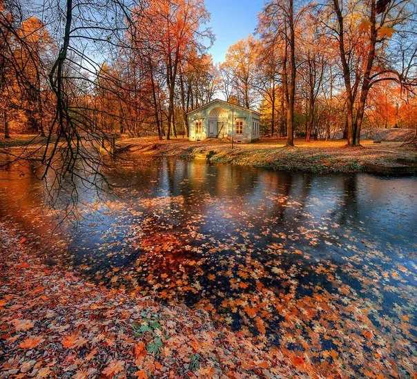 C__Data_Users_DefApps_AppData_INTERNETEXPLORER_Temp_Saved Images_7K9XgD_Hu3k.webp