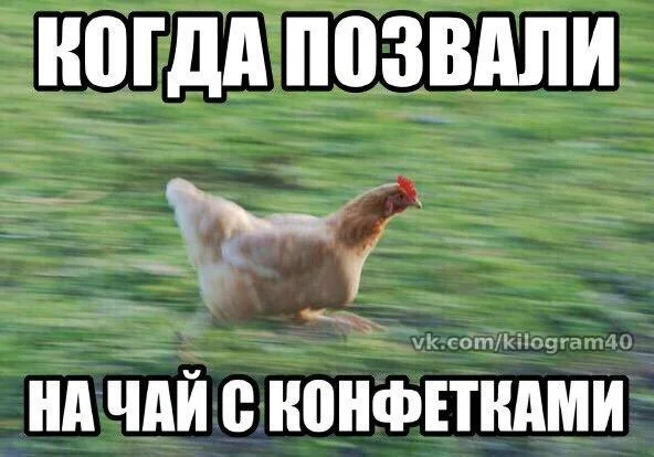 C__Data_Users_DefApps_AppData_INTERNETEXPLORER_Temp_Saved Images_Aal2Zh4Iw_g.webp