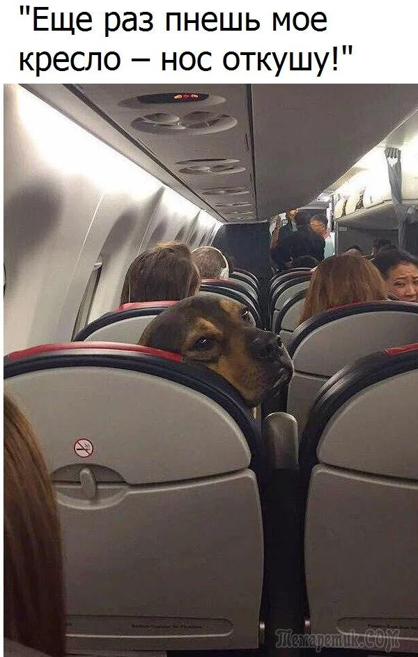 C__Data_Users_DefApps_AppData_INTERNETEXPLORER_Temp_Saved Images_fullsize(62).webp