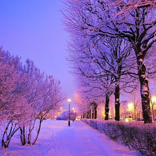 C__Data_Users_DefApps_AppData_INTERNETEXPLORER_Temp_Saved Images_ggjfhdRdbKg.webp