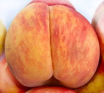 C__Data_Users_DefApps_AppData_INTERNETEXPLORER_Temp_Saved Images_iGSEXUP74.webp