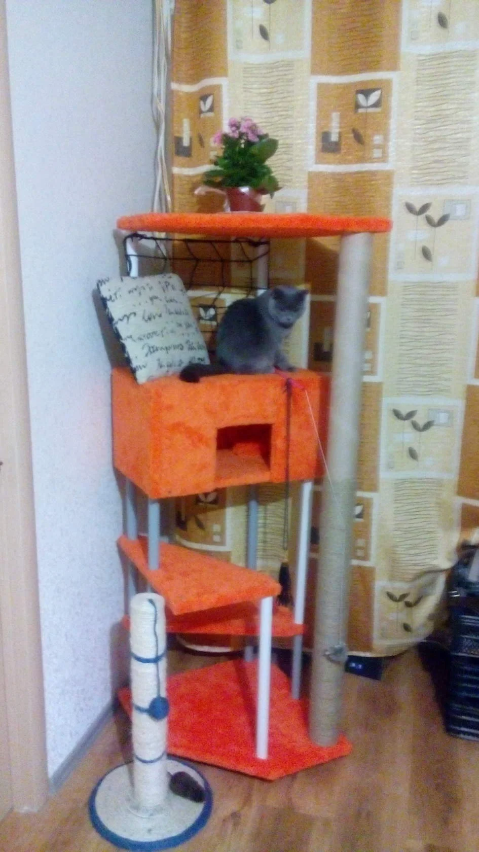 C__Data_Users_DefApps_AppData_INTERNETEXPLORER_Temp_Saved Images_image(18).webp