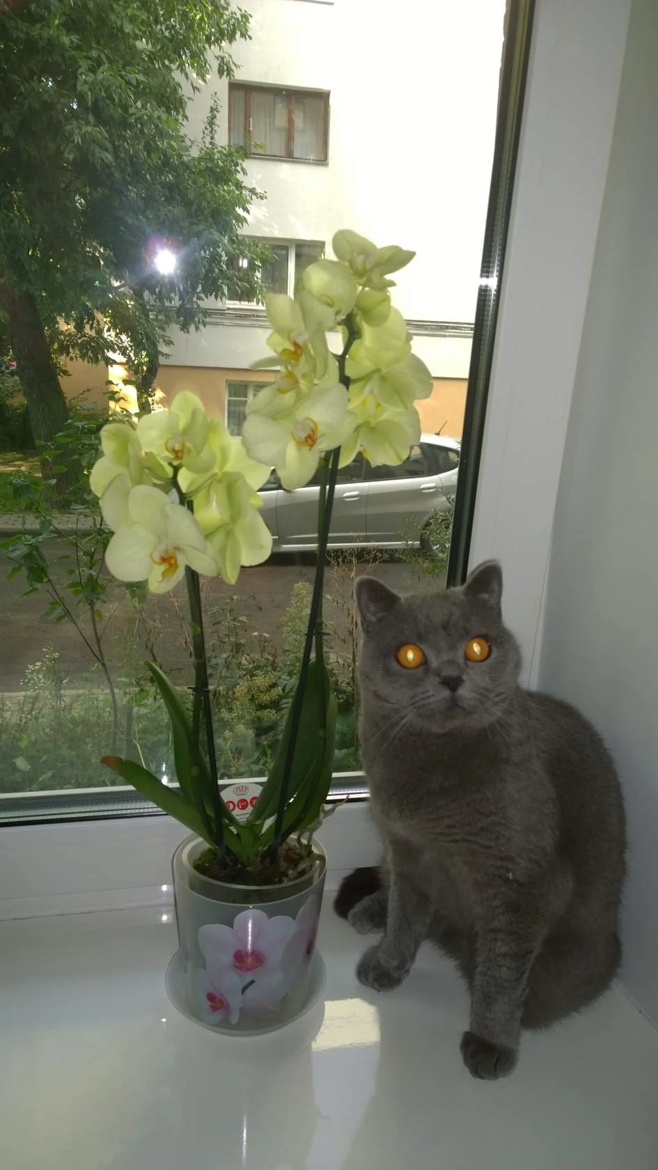 C__Data_Users_DefApps_AppData_INTERNETEXPLORER_Temp_Saved Images_image(6).webp