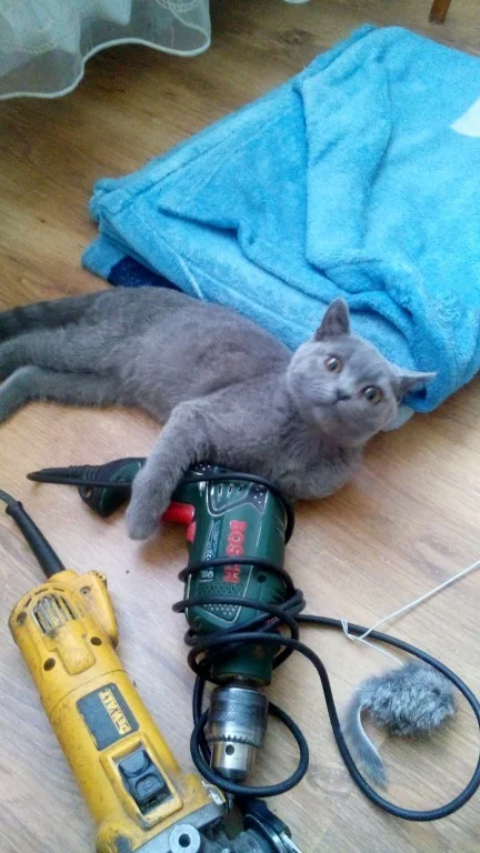 C__Data_Users_DefApps_AppData_INTERNETEXPLORER_Temp_Saved Images_image(8).webp