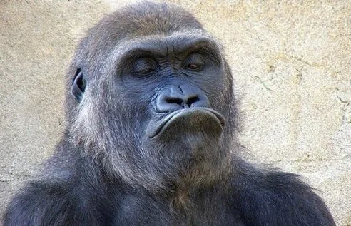 C__Data_Users_DefApps_AppData_INTERNETEXPLORER_Temp_Saved Images_image4ILIP9UB.webp