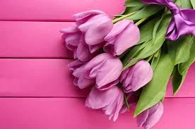 C__Data_Users_DefApps_AppData_INTERNETEXPLORER_Temp_Saved Images_images5H2WI2KJ.webp