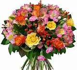 C__Data_Users_DefApps_AppData_INTERNETEXPLORER_Temp_Saved Images_th(7).webp