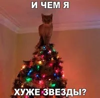 C__Data_Users_DefApps_AppData_INTERNETEXPLORER_Temp_Saved Images_th5IK32YPM.webp