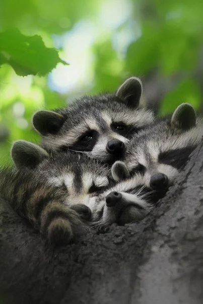 C__Data_Users_DefApps_AppData_INTERNETEXPLORER_Temp_Saved Images_tT6luOg24Zs.webp