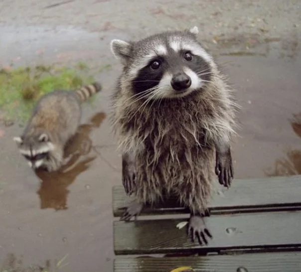 C__Data_Users_DefApps_AppData_INTERNETEXPLORER_Temp_Saved Images_tXpoJSXGv54.webp