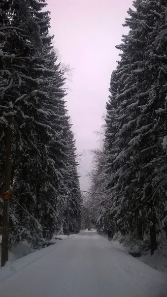 C__Data_Users_DefApps_AppData_INTERNETEXPLORER_Temp_Saved Images_vBv9oBi4mo0.webp