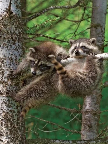 C__Data_Users_DefApps_AppData_INTERNETEXPLORER_Temp_Saved Images_x3w_bK2P5Zg.webp